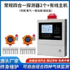 Detector de gas cuatro en uno, oxígeno fijo, gas inflamable, monóxido de carbono, sulfuro de hidrógeno, detector dos en uno, tres en uno