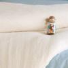 Colchoneta de algodón para colcha colcha llanta Hotel Posada dormitorio estudiantil individual 5 kg primavera y otoño gruesa venta al por mayor de fábrica