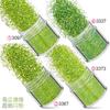 Kit de Unhas Verdes Transfronteiriço 12 Cores Misturadas Lantejoulas para Nail Art Laser Pó Escarlate Joias para Nail Art Broca Adesivo para Unha