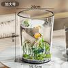 Aquário de Mesa Pavão Cilíndrico Reto Doméstico Transparente de Chão para Desktop Peixe Dourado e Rodeio Pequeno Aquário para Peixe Dourado Iniciante