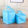 Bolsas Aislantes para Pasteles al por Mayor, Conservación y Refrigeración de Mariscos, Tela No Tejida de Papel de Aluminio, Leche de Té para Llevar, Bolsas Aislantes para Barbacoa, Portátil