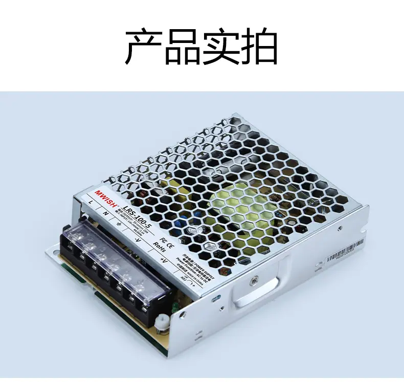 lrs100W_04.jpg