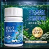 Hoja Purificadora Activa Ecológica Supramolecular para Acuarios Hoja Purificadora de Agua Elimina Turbidez Verdor Olor para Estanques de Peces Ornamentales Purificación de la Calidad del Agua