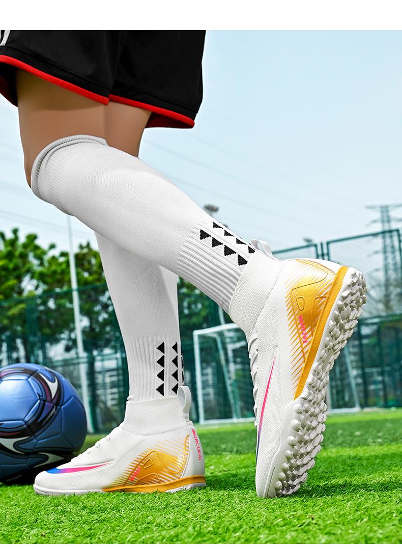 2_11.jpg?x-oss-process=image/format,png