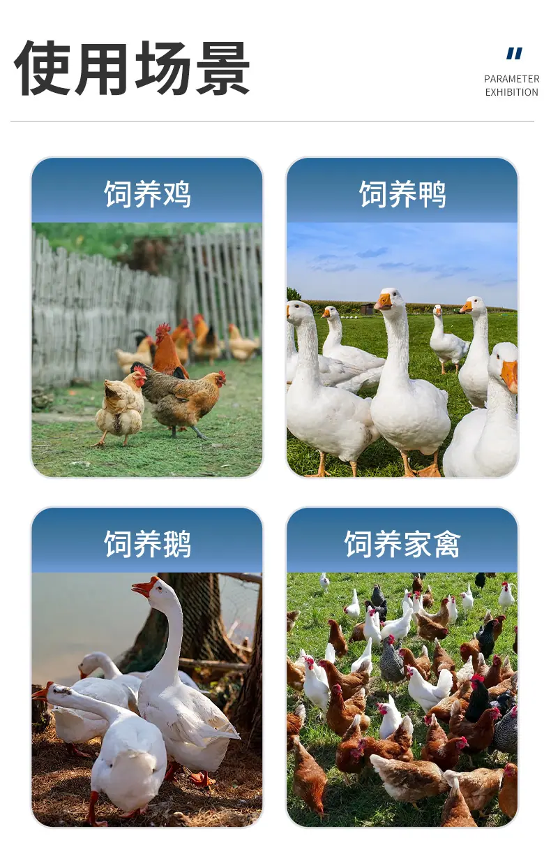 详情_09.jpg