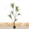 Plantas Verdes Artificiais Grandes para Decoração: Dracena Falsa, Árvore Sangue de Dragão Artificial, Paisagismo de Decoração Suave para Interior, Plantas Verdes Artificiais
