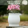 Vaso de Cerâmica para Flores com Prato, Estilo Ins de Luxo Leve, Diâmetro Grande, Estilo Creme, para Orquídeas e Suculentas, Liquidação