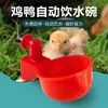 Bebedouro Automático para Frangos, Comedouro de Água para Pombos e Pássaros, Balde de Água Que Para Automaticamente Quando Cheio, Adequado para Galinhas de Solta, Patos e Gansos