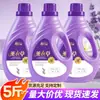 Pacotes de 2,5kg de Sabão Líquido de Lavanda para Uso Doméstico, Balde Grande, Limpeza e Proteção da Cor, Adequado para Lavagem à Máquina, Adequado para Mãe e Bebê, Caixa Fechada Atacado, Direto da Fábrica
