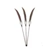 Juguete Nuevo para Gatos Palo de Plumas de Cola de Faisán Natural Palo de Plumas de Cola de Pavo Grado de Competición Juguete de Plumas para Entretenimiento Propio del Gato Duradero
