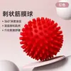Bola de Fascia Pontiaguda de PVC Bola de Massagem Fitness Bola de Relaxamento Muscular Bola Ouriço Pressionamento de Pontos de Acupuntura da Planta do Pé Bola de Treinamento de Reabilitação