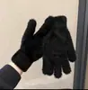 Moda Outono e Inverno Luvas Quentes de Pelúcia com Dedos Inteiros Material de Pelo Sintético de Visão Nova Estilo Coreano Luvas Quentes Espessadas com Forro de Lã