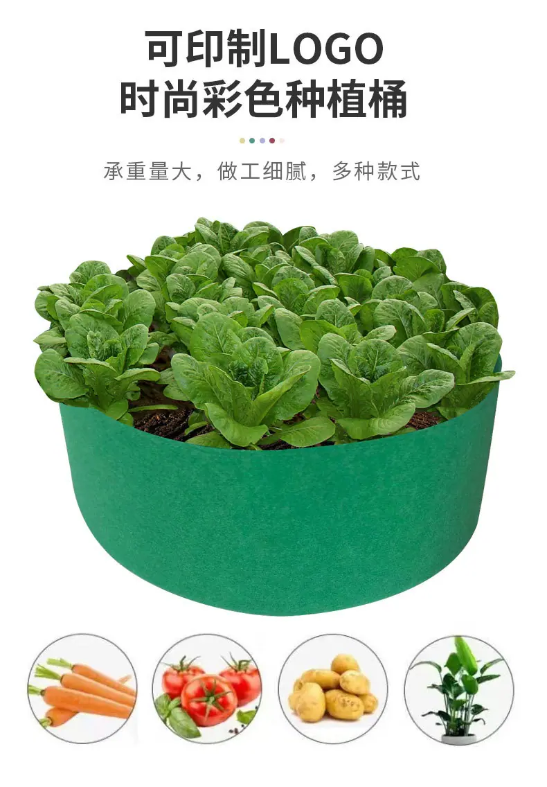 详情_06.jpg