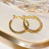 Brincos Argola Design Moderno Agulha de Prata Estilo Coreano High-End Argola Lisa Torcida de Camada Dupla