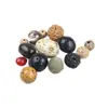 Várias Contas Soltas de Semente de Bodhi, Contas de Raiz de Bodhi Estrela e Lua, Contas Vajra com Contas DIY Acessórios para Joias Artesanais com Contas