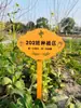 Etiquetas para Plantas de Jardín de Madera Maciza, Señales de Suelo de Madera, Señales Indicadoras para Exteriores, Señales de Aviso para Huertos Escolares de Jardín de Infancia