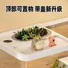 Tanque Ecológico para Tortugas, Acuario Ecológico, Tanque de Acuario Pequeño y Mediano para Sala de Estar Balcón, Tanque Especial para Tortugas Brasileñas y Tortugas de Pasto