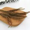 Galhos de pinho dourados multicamadas e folhas flor seca natural real folha verde eterna acessórios de flor seca diy vela de aromaterapia moldura de foto material de flor