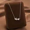 Comercio Exterior de Amazon Venta Caliente Collar de Acero de Titanio Temperamento Femenino Circonita Microincrustada Personalidad Cadena para Clavícula de Alto Sentido Colección Joyería
