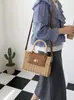 Bolso tejido de marco moderno y simple, bolso cruzado de paja, bolso de mano de paja nuevo, bolso de playa de vacaciones junto al mar estilo francés