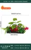 Flores Artificiais Plantas Verdes Conjunto de Divisória Decorativa Flores de Plástico e Seda Decoração de Paisagismo Arranjo de Paisagem Exibição de Janela Interna