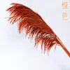 Caña de Hierro Conservadora de Color Duradero, Bambú Panda, Venta Directa de Fábrica de Yunnan, Decoración del Hogar, Decoración de Bodas al por Mayor
