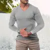 Camiseta Masculina de Outono Esportiva Fitness Casual com Gola Alta Listras Verticais Elásticas Decote V Manga Longa Exportação Transfronteiriça Europeia e Americana