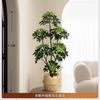 Simulación Planta Verde Pata de Pato Madera Lujo Ligero de Alta Gama Interior Sala de Estar Planta Verde Artificial en Maceta Planta Biónica Adornos Decorativos de Piso