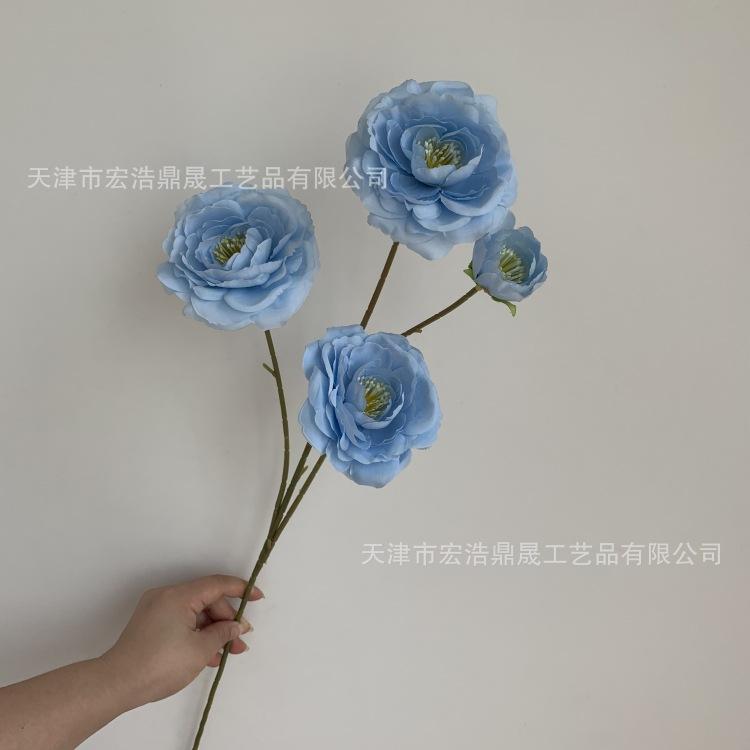微信图片_202308101018211_副本