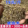 Âmbar Arroz Âmbar Cabelo Grande Favoravelmente