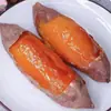 Yanshu 25 Camote, Camote con Miel, Camote Corazón de Azúcar, Camote Rojo Corazón que Suelta Jugo, Camote Fresco Cultivado en Granja, Camote Asado, Camote con Miel de Tierra Arenosa, Suministro Directo