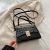 2024 Inverno Nova Moda Francesa Nicho Design Bolsa de Viagem Personalizada Este Ano Popular Bolsa Pequena Quadrada Crossbody
