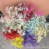 Plástico Macio Gipsofila Artificial Flores Falsas Casamento Decoração de Casa Arranjo de Flores DIY Flores de Seda Pequena Decoração Fresca Atacado Pronta Entrega