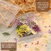 Manicura Monet Flor Seca Estilo Japonés Fresco Gestapa Girasol Mixto Flor Real Pequeña Caja de Uñas Floral Decoración