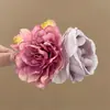 Grampo de Cabelo Flor Rosa Estilo Puro Desejo Primavera e Verão Atmosfera Doce Tipo Fada Grampo de Cabelo Grande Grampo de Cabelo Lateral