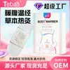 Parche Calentador Uterino para Cólicos Menstruales, Parche para Molestias Menstruales de Mujer, Terapia de Calor para Dolor Abdominal, Parche Calentador Uterino Personalizable