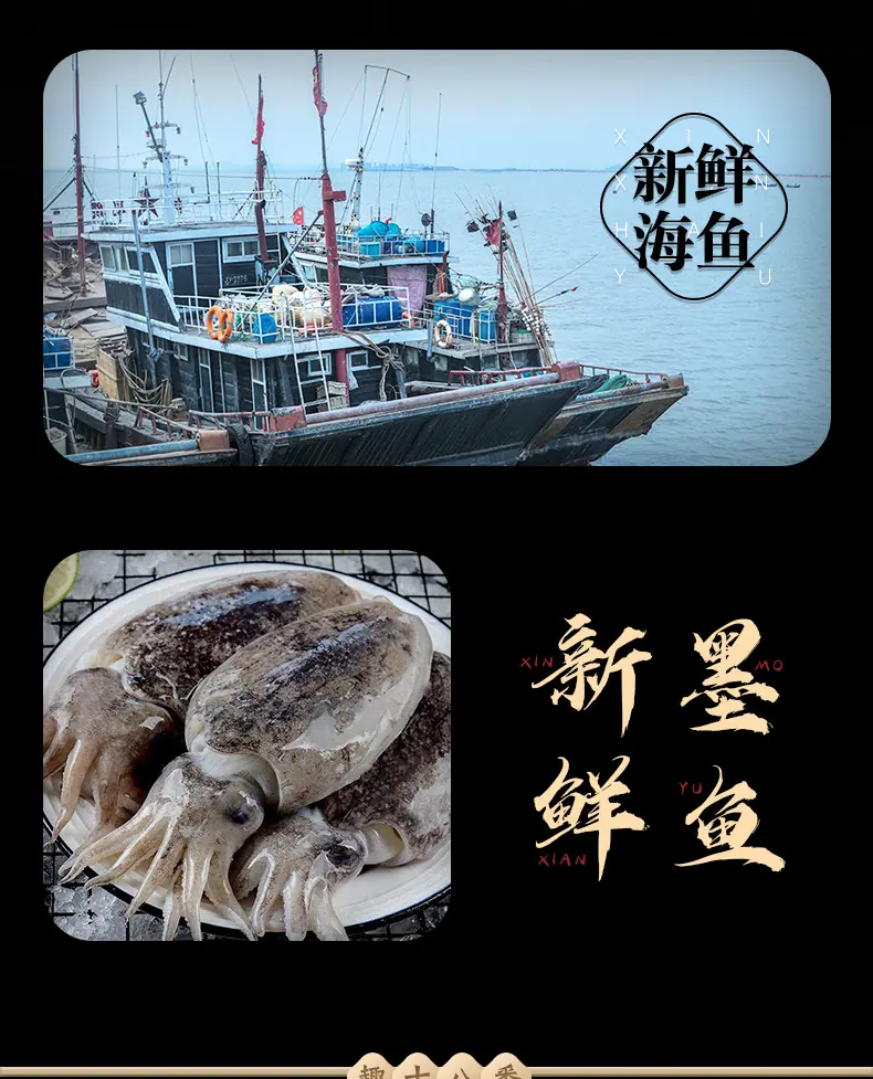 墨鱼丸_04.jpg