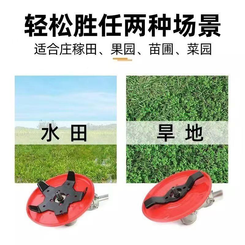 微信图片_20240822092745