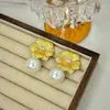 2026 Nuevos Pendientes de Flor de Perla Tridimensional Transfronterizos, Lujo Ligero, Gama Alta, Nicho Pendientes Largos con Borlas, Accesorios para Orejas