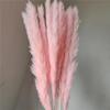 Flor Seca Carrizo Decoración de Boda Flor Eterna Carrizo Pequeño Hierba de las Pampas Carrizo Flor Seca Decoración para el Hogar