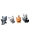 Terrário de musgo, enfeites de plantas suculentas, enfeites de bonecas, materiais DIY para projetos criativos e itens com tema de "gato não tão fofo"