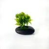 Nuevo Maceta Pequeña Poco Profunda Piedra Negra Malla 5 Plantas Acuáticas Bonsái Pequeño Oficina en Casa Escritorio Flor Artificial Adornos de Bonsái