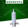 Yangzhou Fuyi 10KV Pára-raios de Cerâmica Y5WZ-17/45 Pára-raios de Óxido de Zinco Y5WZ-17/45