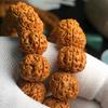 Ventas Directas de Fábrica de Pulseras Originales de Mano con Forma de Calabaza, Pulseras Pequeñas de Rudraksha, Venta al por Mayor en Grandes Cantidades