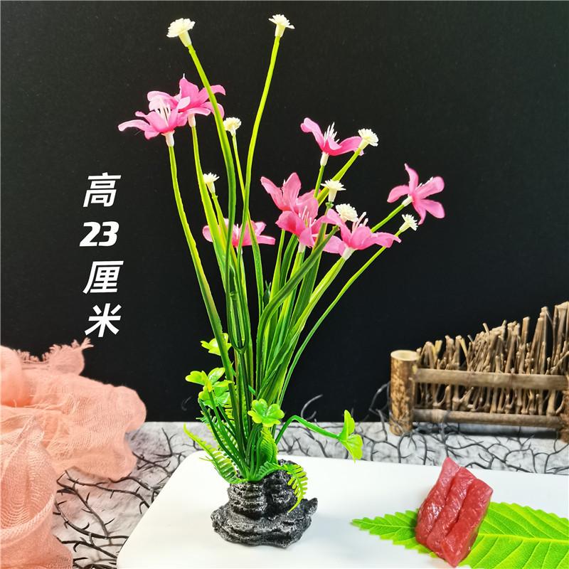 QQ图片20210817123157