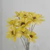 Sementes de Melão com Flores Secas de Yunnan, Flores Frescas Feitas à Mão, Flores Reais para Decoração de Casa, Adereços de Fotografia, Atacado