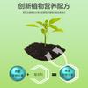 Polvo de Enraizamiento Rápido para Verduras, Frutas y Flores, Agente Universal de Enraizamiento y Fortalecimiento de Plántulas para Esquejes, Trasplantes, Hidroponía, Poderoso Agente de Enraizamiento