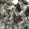 Cimicífuga, Cultivada Silvestre en la Cordillera Qinba, Suministro Directo desde el Lugar de Origen, Grandes Cantidades a Precios Favorables, Venta al por Mayor de Hierbas Medicinales Chinas