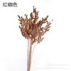 [Flor Yongsheng pancao pequeño] pancao pequeño flexible ramo de flores secas Flor Yongsheng decoración de sala de estar foto