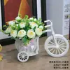 Sala de Estar Interior Mesa de Jantar Mobiliário terno Acessórios Carro de Flores Mobiliário Doméstico Plástico Flores Artificiais Pequenos Enfeites Flores Secas Planta em Vaso